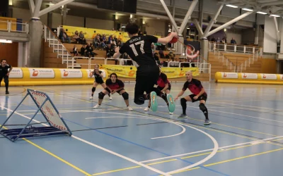 SuperCoupe 2026 : les Geneva Dragons face aux Val-de-Ruz Flyers, c&rsquo;est le choc de ce début de saison